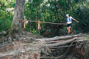 BIB: 
                            <button type="button" onclick="openModal(27304179)" class="btn btn-primary btn-sm float-right btn-popup" data-toggle="modal" data-target=".modal-high-quality">
                        <i class="fas fa-shopping-cart"></i> Add to Cart
                    </button>
                                            <button type="button" onclick="isThisMe(27304179, true)" class="btn btn-success btn-sm float-right btn-popup btn-isme hidden" data-toggle="tooltip" data-placement="bottom" title="นี่คือรูปของคุณใช่ไหม คลิกที่นี่เพื่อเอาเข้าอัลบั้ม">
                        <i class="fas fa-plus"></i> Add to album
                    </button>
                    <button type="button" onclick="isThisMe(27304179, false)" class="btn btn-warning btn-sm float-right btn-popup btn-isnotme hidden">
                        <i class="fas fa-ban"></i> Remove from album
                    </button>